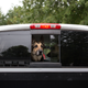 Image for article titled Uber's Making It Easier to Bring Your Pet for the Ride—and Don't You Dare Ruin This for Me